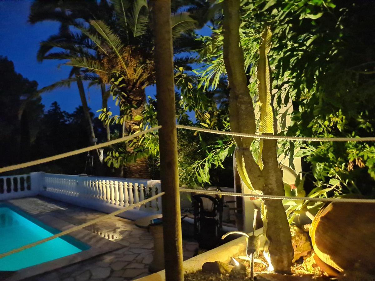 Private Mit Eigenem Pool Unter Palmen Cala Llena
